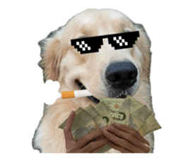 ลายที่ 25