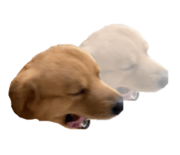 ลายที่ 27