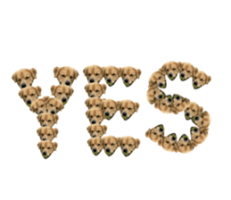 ลายที่ 29