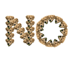 ลายที่ 31