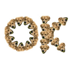 ลายที่ 33