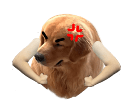 ลายที่ 35