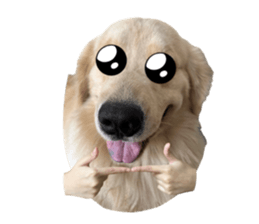 ลายที่ 59