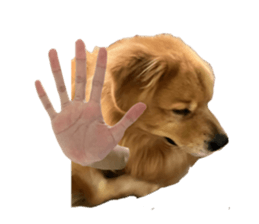 ลายที่ 69