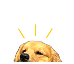 ลายที่ 71