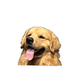 ลายที่ 73