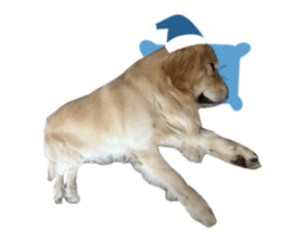 ลายที่ 75