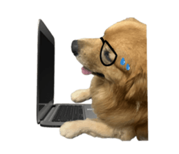 ลายที่ 79