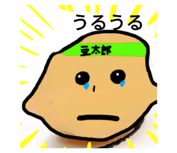 720031556