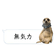 720036050