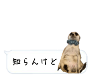 720036051