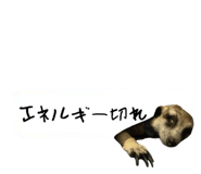 720036052