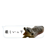 720036053