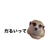720036054