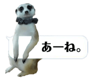 720036055