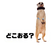 720036057