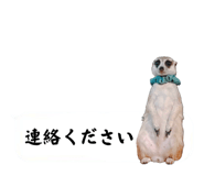 720036058