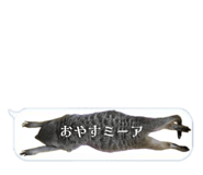 720036059