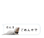 720036062