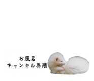 720036063
