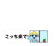 720036068