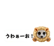 720036070