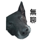 720044836