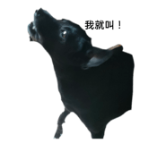 720044844