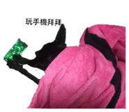 720044846