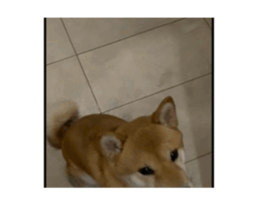 720045104