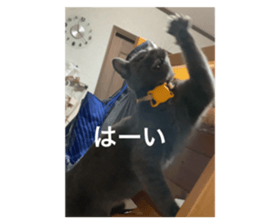 720053135