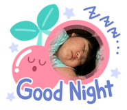 720082644