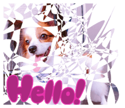 720127091