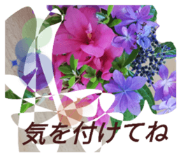 720127098
