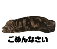720127580