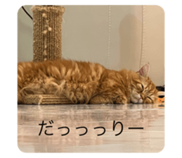 720127861