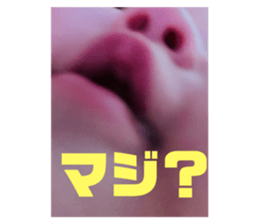 720129314