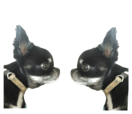 720180166