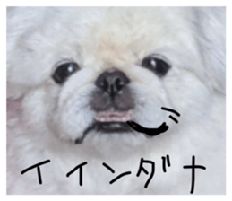 720185657