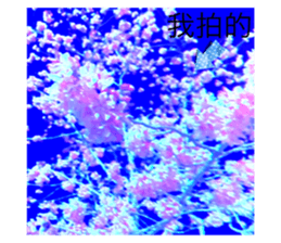 720237654