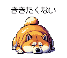720238219