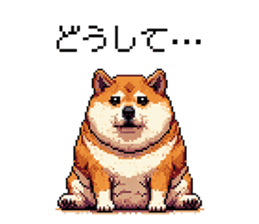720238220