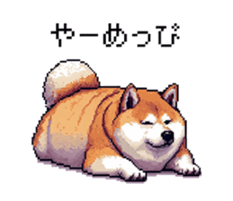 720238221