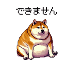 720238224