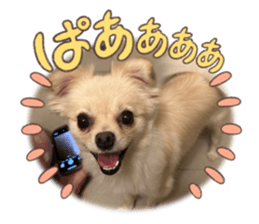 720245040