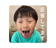 720254311