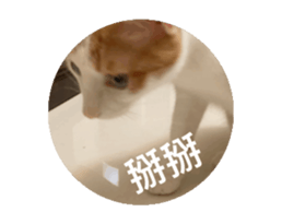 720318876