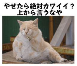 720333402