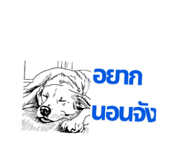 720362313