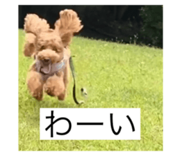 720368898